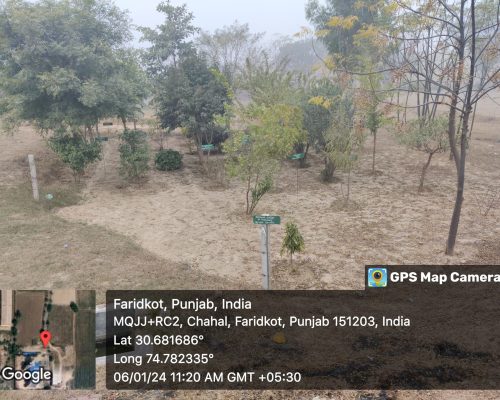 herbal garden (1)