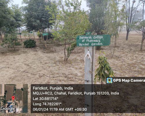 herbal garden